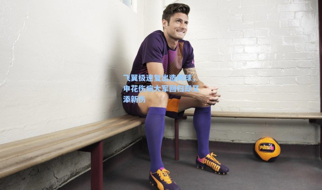 飞翼极速复出造两球，申花伤病大军回归却又添新伤