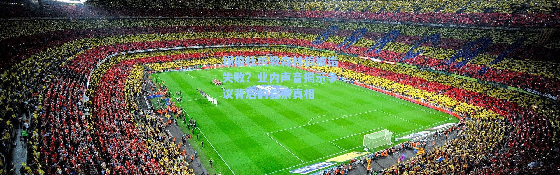 锡伯杜执教森林狼被指失败?业内声音揭示争议背后的复杂真相