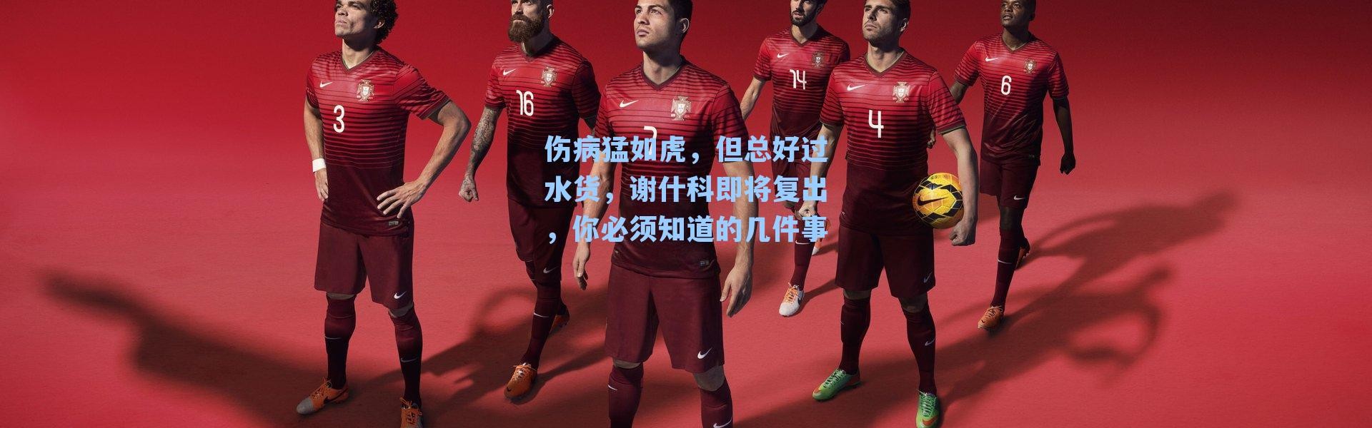 伤病猛如虎，但总好过水货，谢什科即将复出，你必须知道的几件事