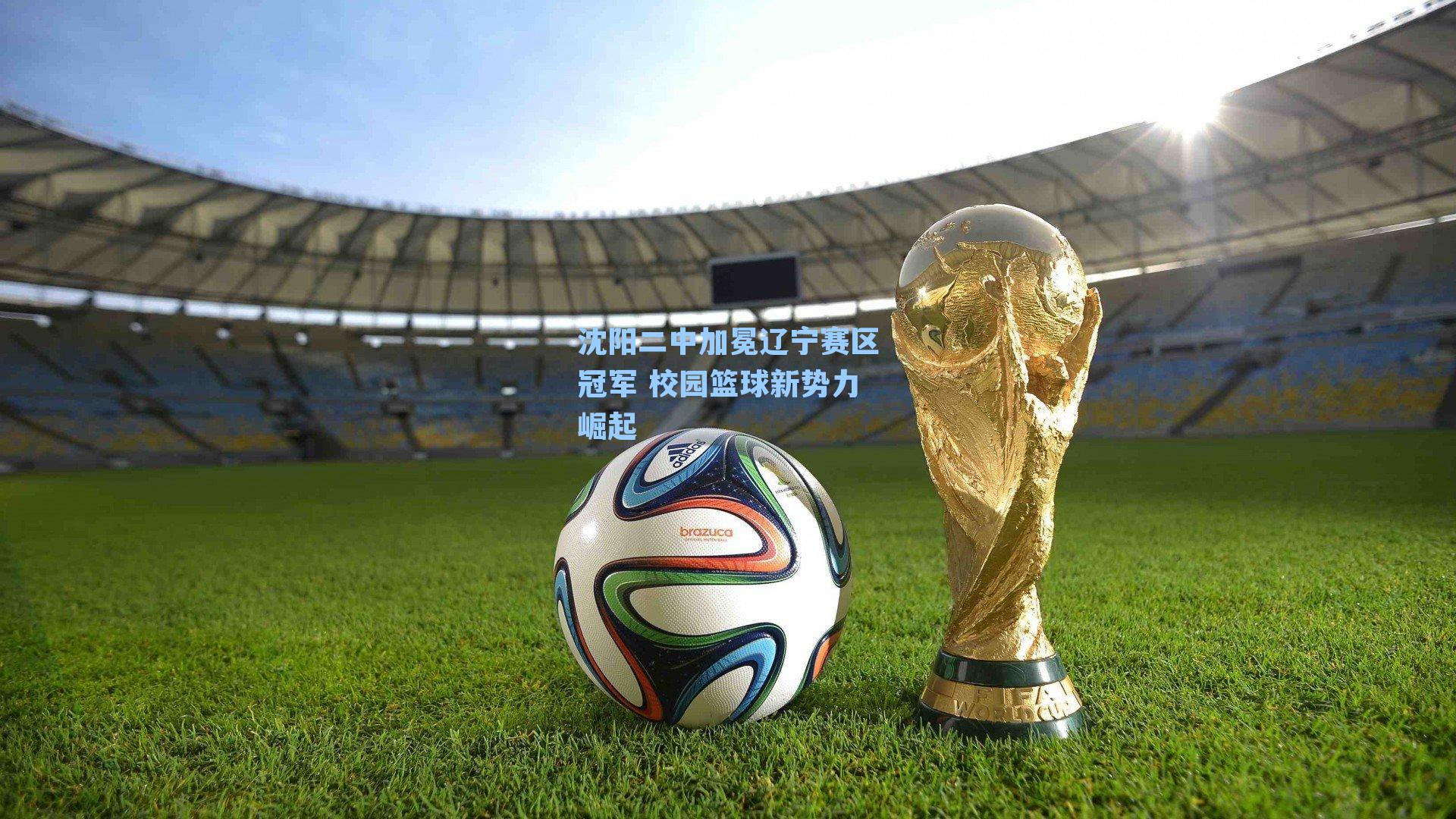 沈阳二中加冕辽宁赛区冠军 校园篮球新势力崛起