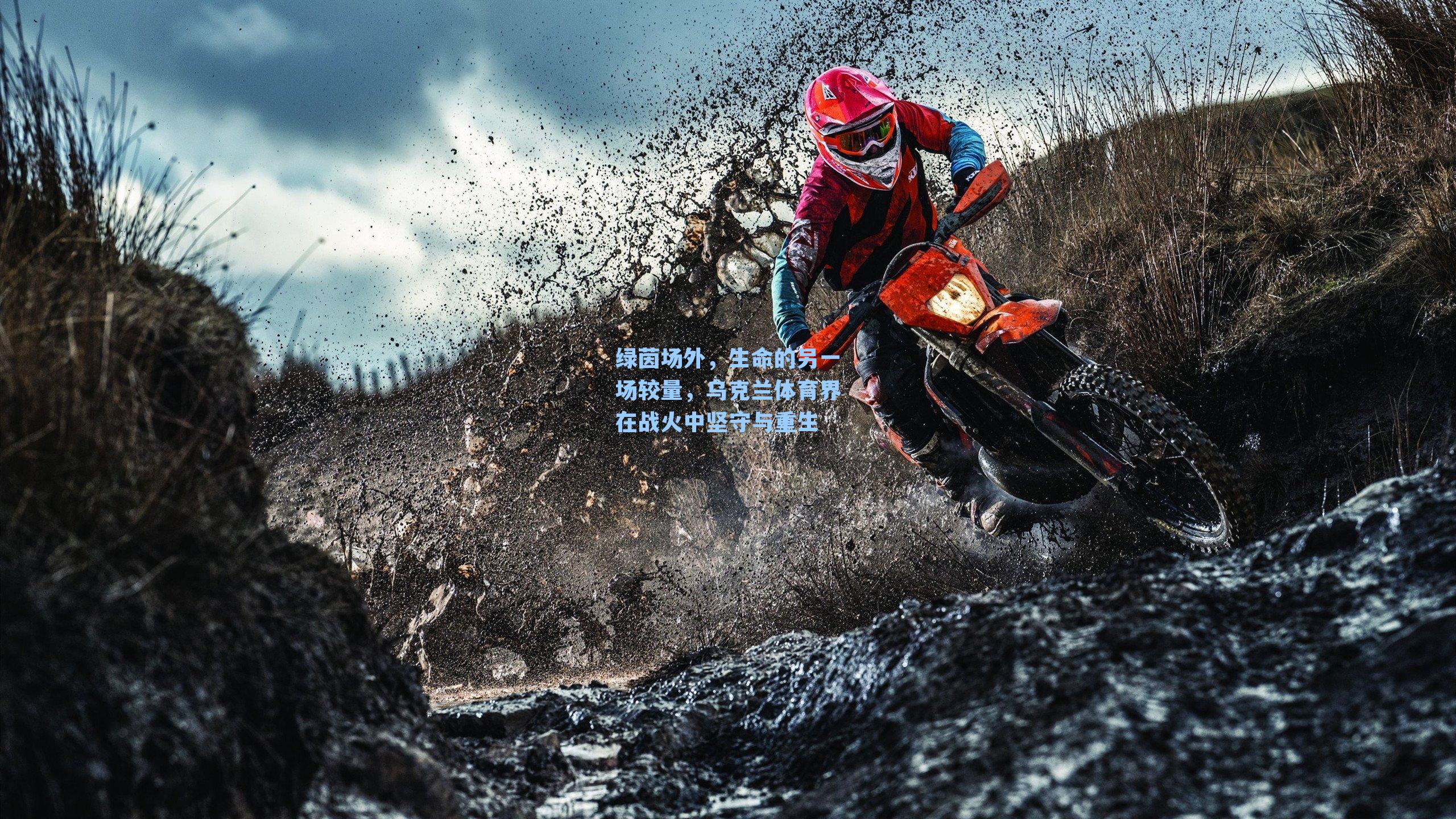 绿茵场外，生命的另一场较量，乌克兰体育界在战火中坚守与重生