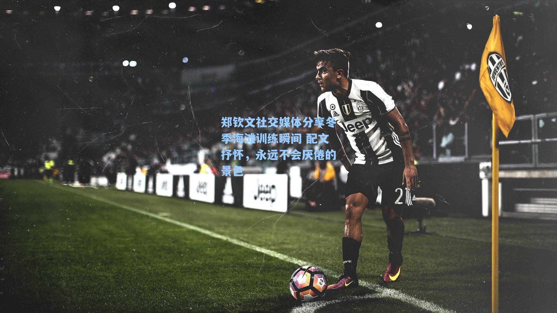 郑钦文社交媒体分享冬季海滩训练瞬间 配文抒怀，永远不会厌倦的景色