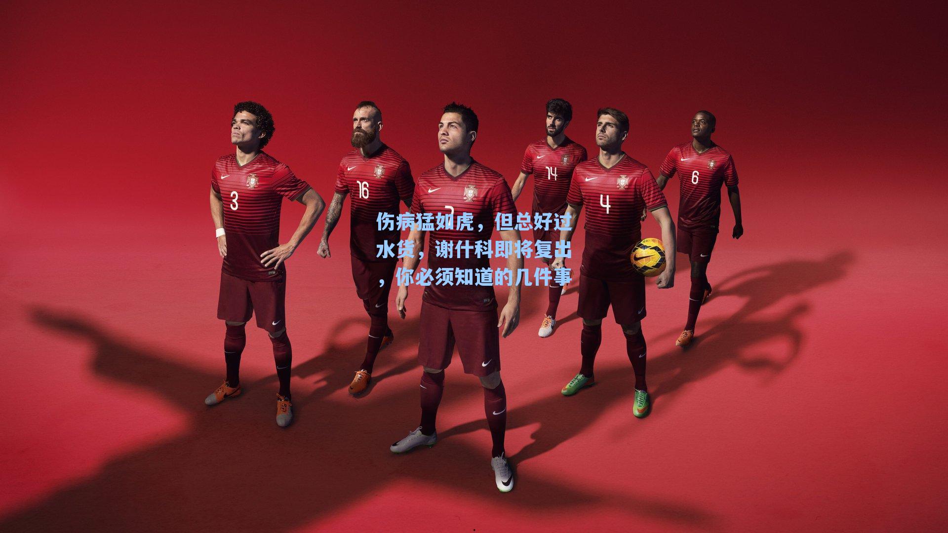 伤病猛如虎，但总好过水货，谢什科即将复出，你必须知道的几件事