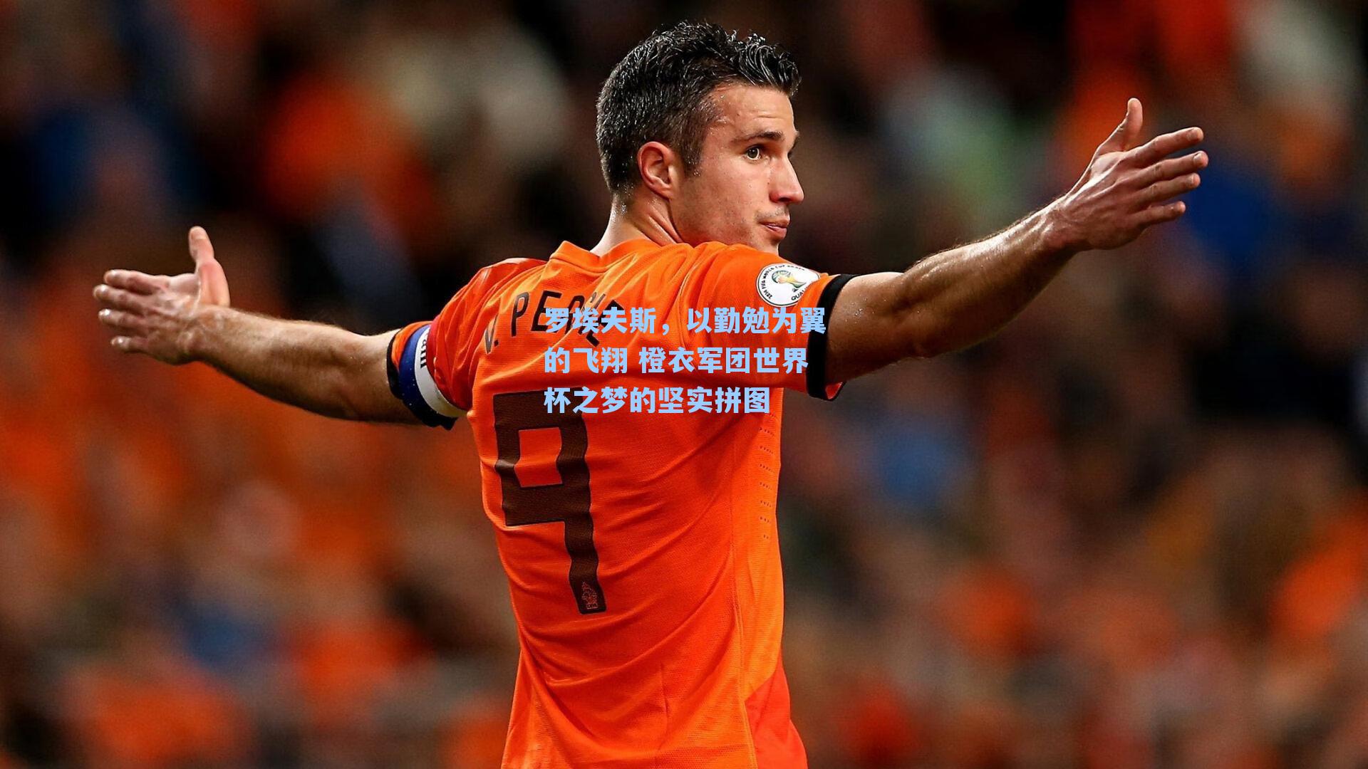 罗埃夫斯，以勤勉为翼的飞翔 橙衣军团世界杯之梦的坚实拼图