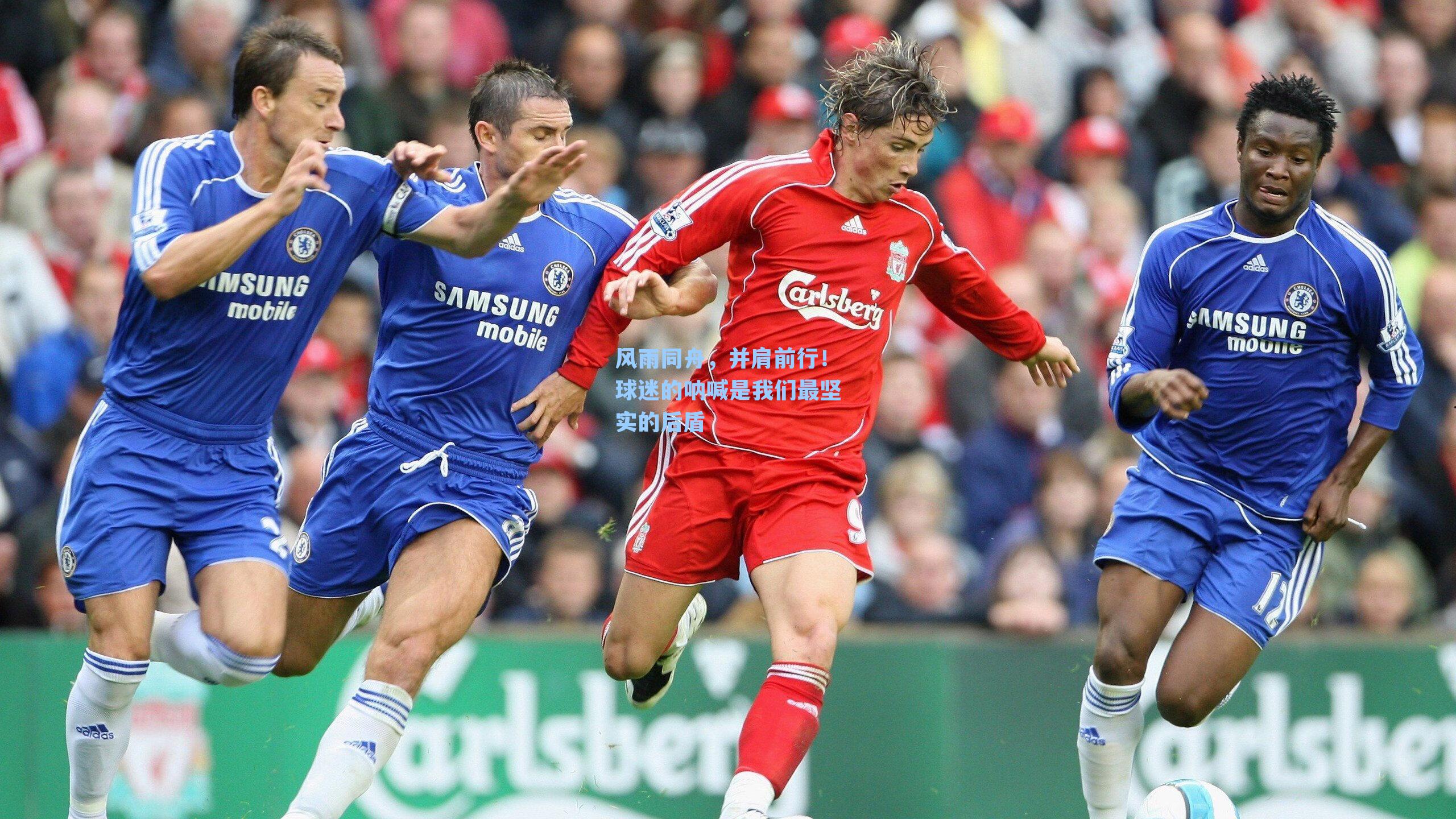 风雨同舟,并肩前行!球迷的呐喊是我们最坚实的后盾